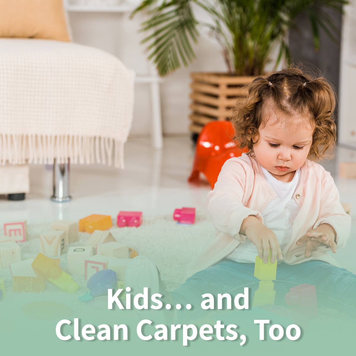 Carpet Cleaning and Interior Textiles Cleaning Tips - Hilton Head